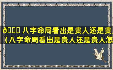 🐅 八字命局看出是贵人还是贵人（八字命局看出是贵人还是贵人怎么看）